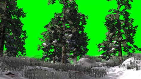 Snowy Christmas Landscape Green Screen Stock Footage Video 8168371