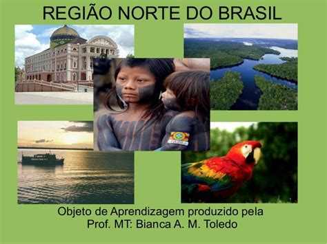 Curiosidades Região Norte Do Brasil - Região Norte do Brasil