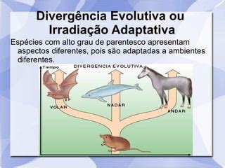 Convergência Adaptativa E Divergência Evolutiva - Divergência e Convergência | PPT