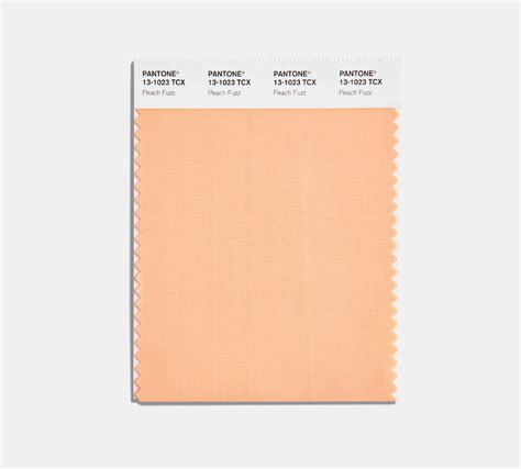 The Pantone Color Of The Year 2024 Peach Fuzz Vistaprint Us