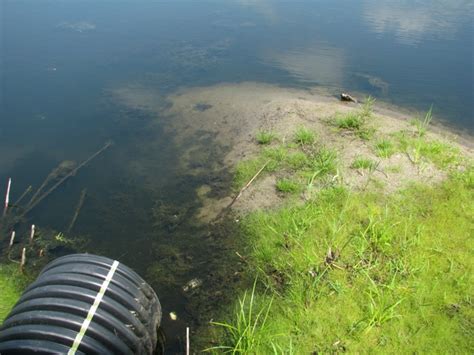 Stormwater Pond Design Construction And Sedimentation