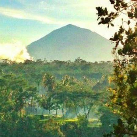 Kedisan, Indonesia 2024: All You Need to Know Before You Go - Tripadvisor