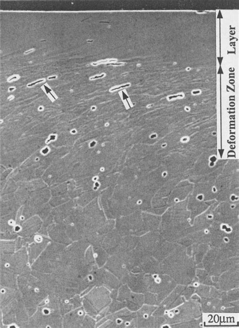 Scanning electron micrograph showing the cross section of the treated ...