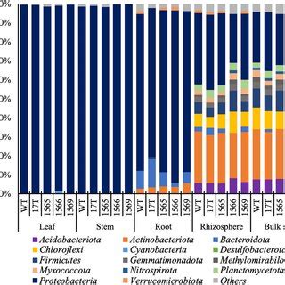 Microbial Community Composition At Phylum Level In The Microbiomes Of