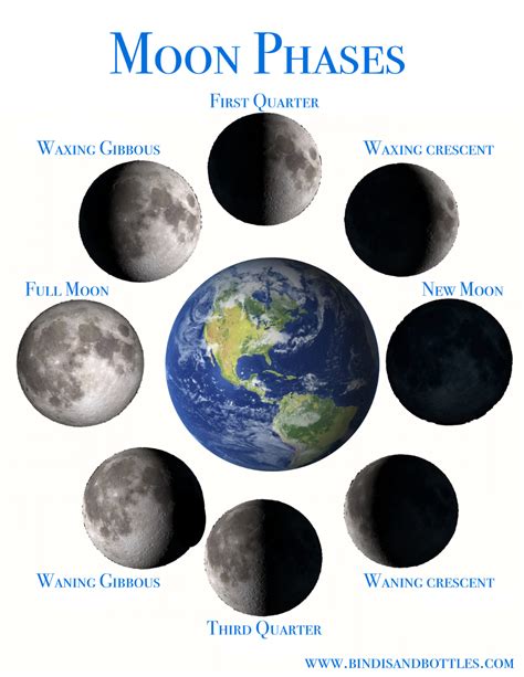 Phases Of The Moon Sheet