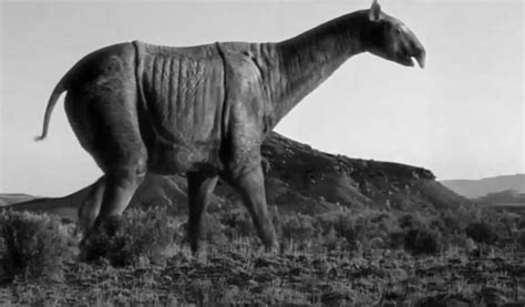 Farmer Discovers Skeleton Of Giant Hornless Rhino, The Largest Land ...