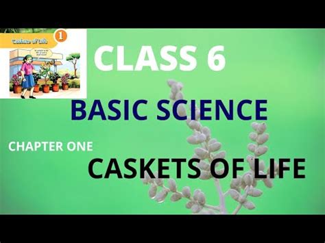 Kerala Syllabus Class Basic Science Chapter Caskets Of Life