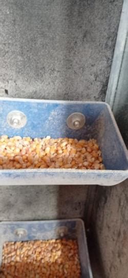 What Is Lego S Most Nude Minifig D Models Page Stlfinder