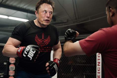 Elon Musk Vs Mark Zuckerberg Ufc Fight