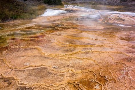 Mammoth Hot Springs Stock Photo At Vecteezy