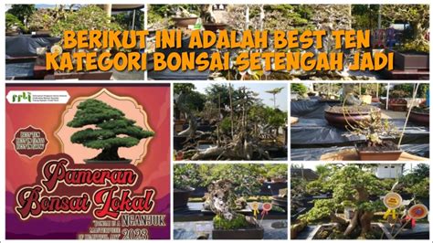 Pameran Bonsai Lokal Nganjuk Ll Kategori Bonsai Setengah Jadi