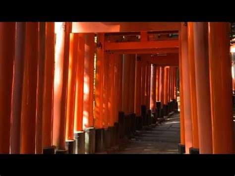 Asmr Japan Vlog Day Seven Fushimi Inari Shrine T Ji Temple Nij