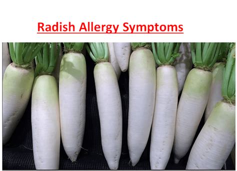 Radish Allergy Symptoms - Fruits Facts