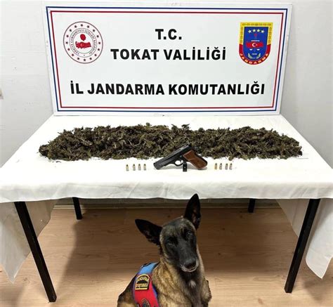 Tokat ın Niksar ilçesinde 2 kilo 300 gram kubar esrar ele geçirildi