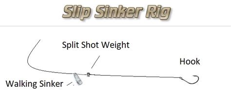 Slip Sinker Rig Walking Sinker Rig Tips Ultimate Fishing Site