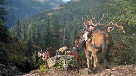 Montana Elk Hunting Guided Elk Hunts