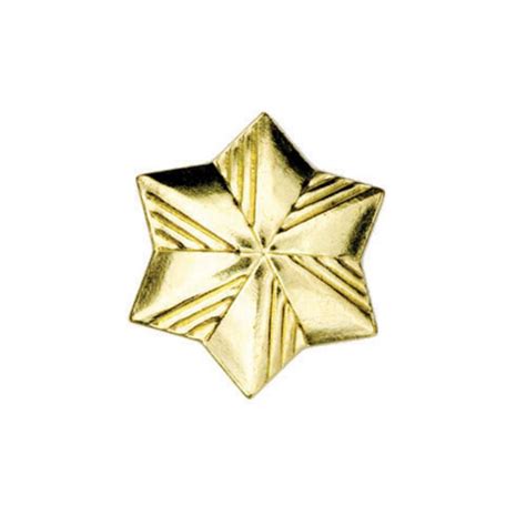 Membership Star Pin Girl Scouts Of Silver Sage Council Online Store