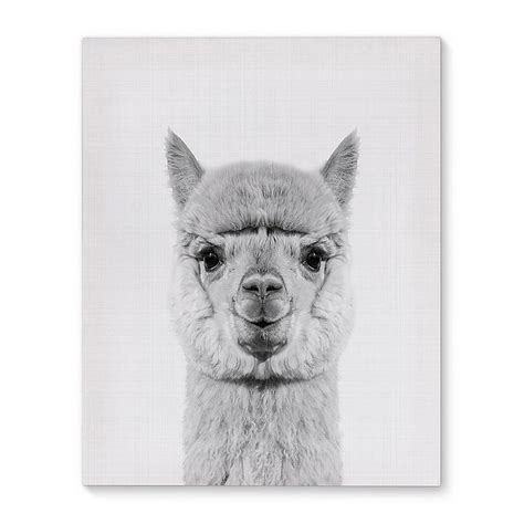 Alpaca Canvas Wall Art Bed Bath And Beyond Framed Art Prints Posters Art Prints Canvas Wall Art