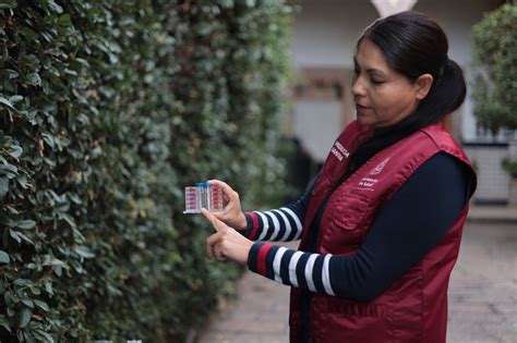 Coepris Verificadores Sanitarios De Coepris Portar N C Maras De Solapa