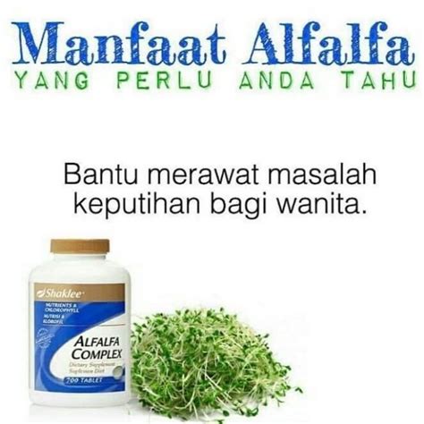 Shaklee Alfafa Complex 330 Tablets Exp April 2023 Shopee Malaysia