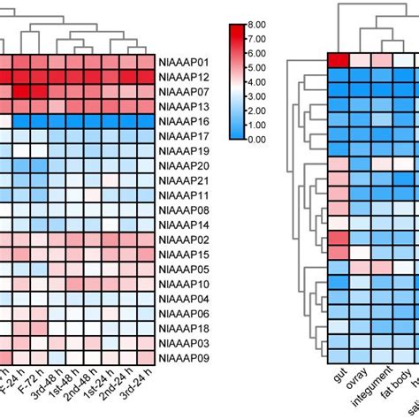 Spatiotemporal Expression Pattern Of Putative Aaap Transporter Genes In