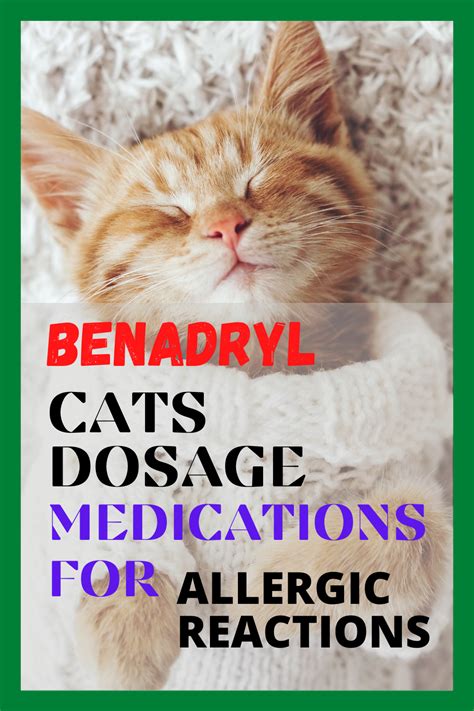 Benadryl for cats – Artofit