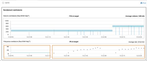 Real BVM Help - Performance Summary view