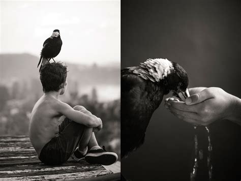 Penguin Bloom – The Photo School