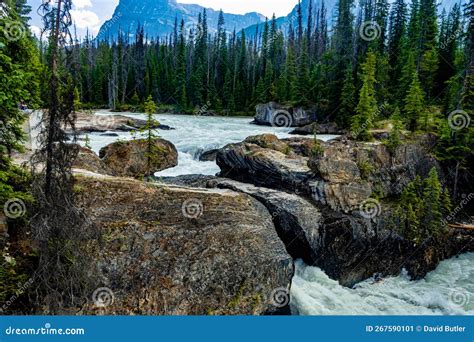 Park Narodowy Yoho British Columbia Canada Obraz Stock Obraz Z O Onej