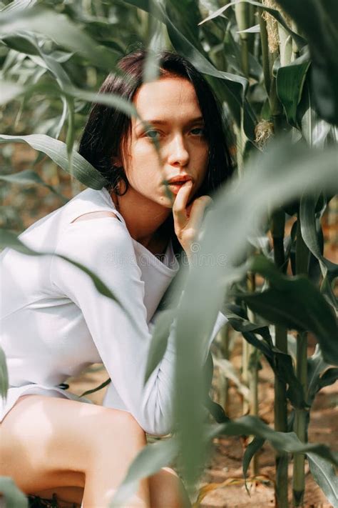 A Brunette Girl In A White Dress In A Cornfield The Concept Of