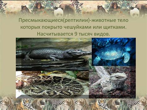 Какие бывают животные (2 класс) - презентация онлайн