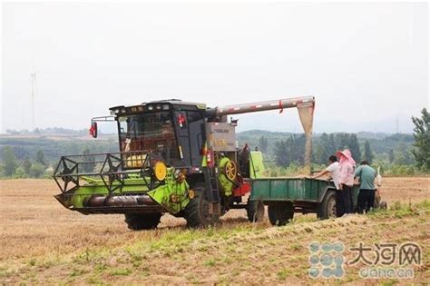 河南葉縣：96萬畝小麥開鐮收割 每日頭條