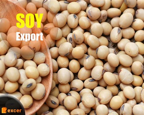 Soy Export How To Tap Into The Growing Global Demand