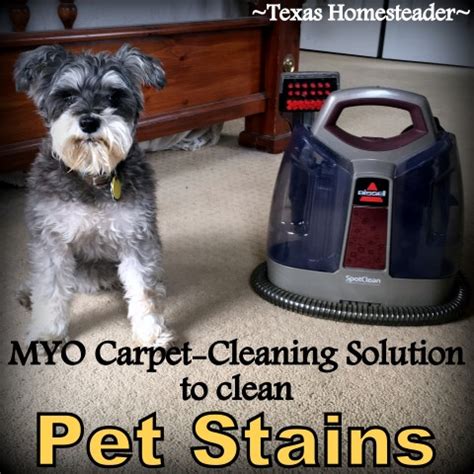 Best Homemade Carpet Cleaner For Pet Stains | www.resnooze.com