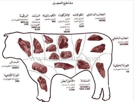 قطعيات اللحوم المختلفة وطريقة استخدامها مع قرب عيد الأضحى المبارك