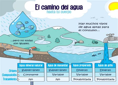 Una Infografía Para Celebrar El Día Mundial Del Agua 2021 No Solo Es Agua