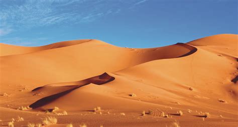 shrinking ancient sea   spawned sahara desert erofound
