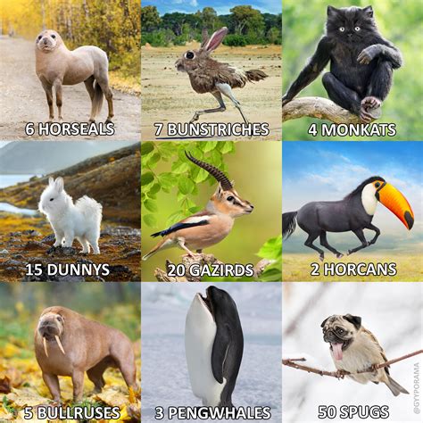 Choose Wisely Rtierzoo