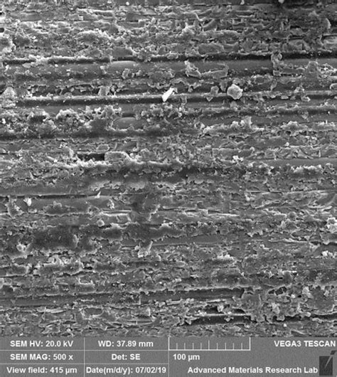 Scanning electron microscope image (500X) of the surface of the ... 