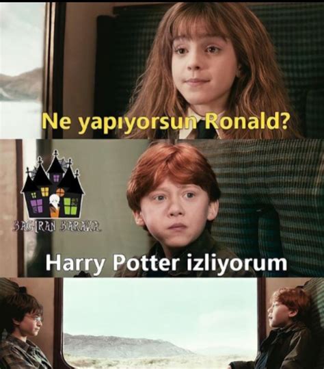 Birtanecikİnsan Adlı Kullanıcının Harry Poter Komik Panosundaki Pin Harry Potter Mizahı