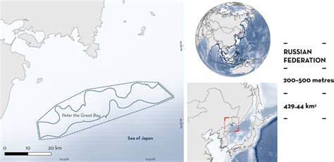 Peter The Great Bay Isra Important Shark Ray Areas