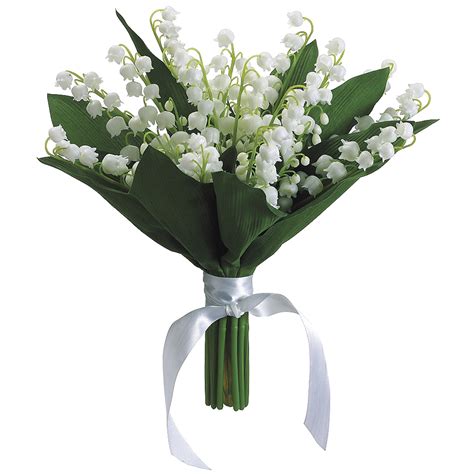 The Meaning And Symbolism Of The Word Lily Of The Valley