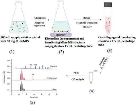 Capillary Electrophoresis Based On Nucleic Acid Detection For Diagnosing Human Infectious Disease