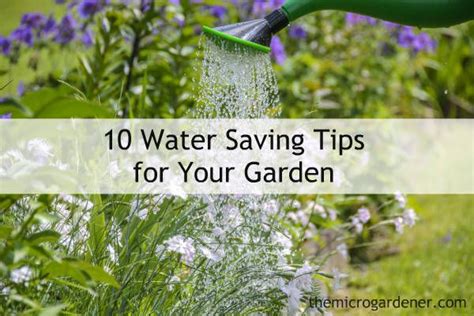 10 Water Saving Tips For Your Garden By The Micro Gardener Water