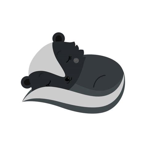 Skunk Sleeping Stock Photos Pictures And Royalty Free Images Istock