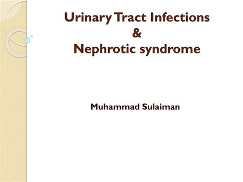 SOLUTION 12 Uti And Nephrotic Syndrome Studypool