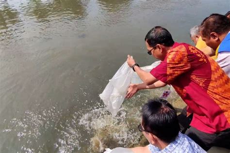 Dinas Perikanan Semarang Tebar Benih Ikan Jaga Ekosistem Sungai