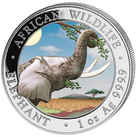 Somalia Elefant Oz Silber Farbe Preis Wert