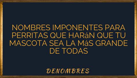 Nombres Imponentes Para Perritas Que Har N Que Tu Mascota Sea La M S