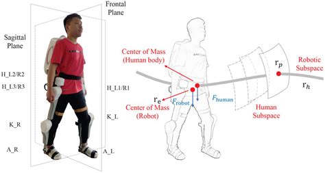 Schematic Of The Cooperative Human Robot Structure Framework